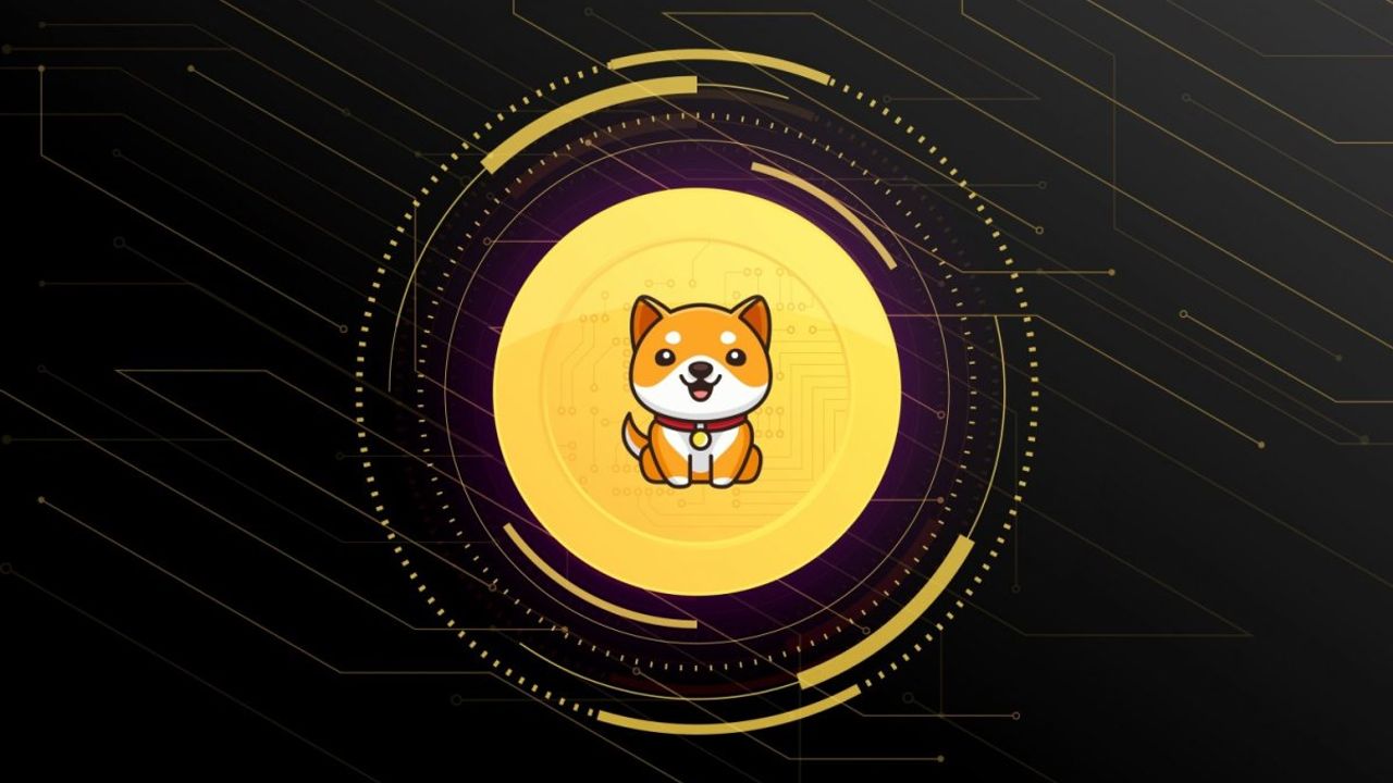 Baby DogeCoin Ekibi, 100 Katrilyon Token Yakmayı Önerdi