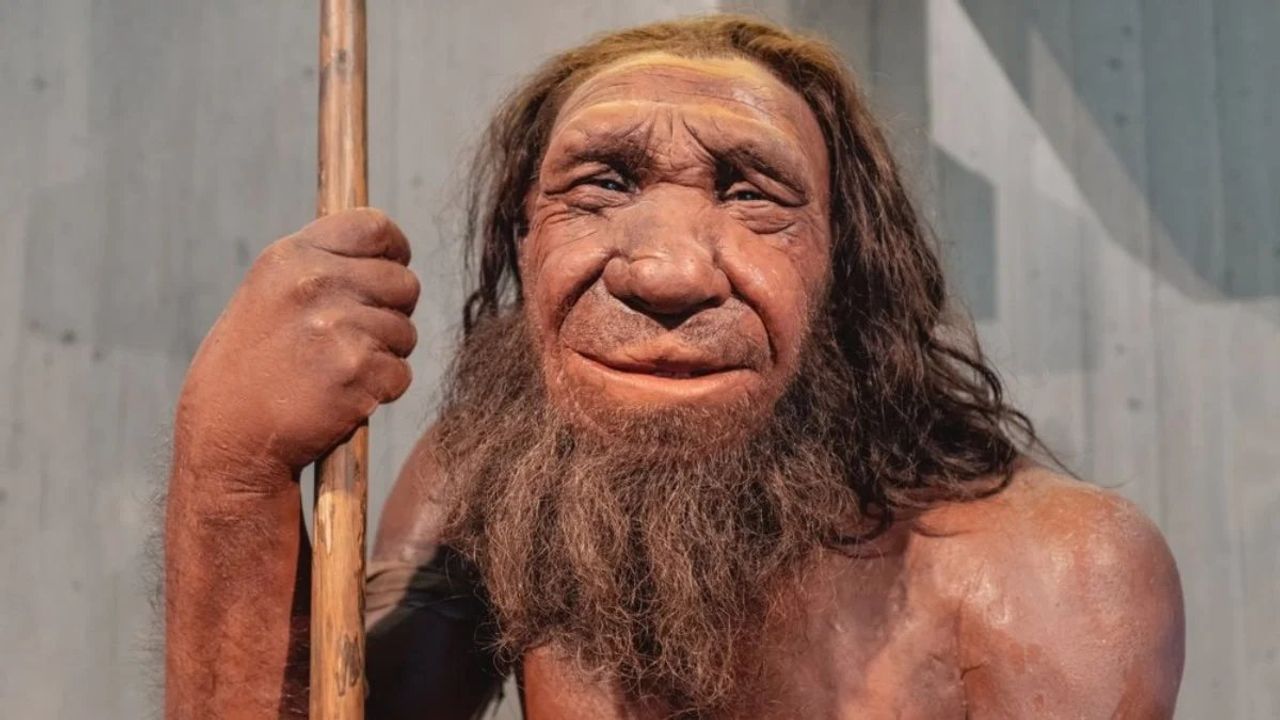 Neandertal DNA'sı, Burnumuzun Şeklini Etkiliyor