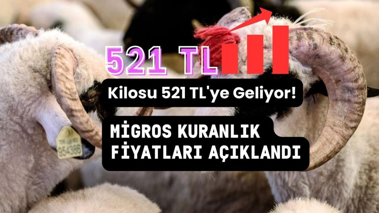 Migros ve A101 Kurbanlık Fiyatları ve Detayları