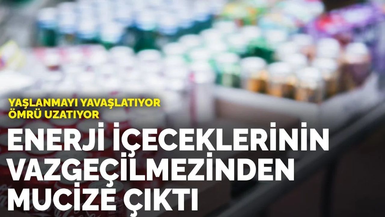 Enerji İçeceklerindeki Taurin Yaşlanmayı Yavaşlatıyor ve Ömrü Uzatıyor