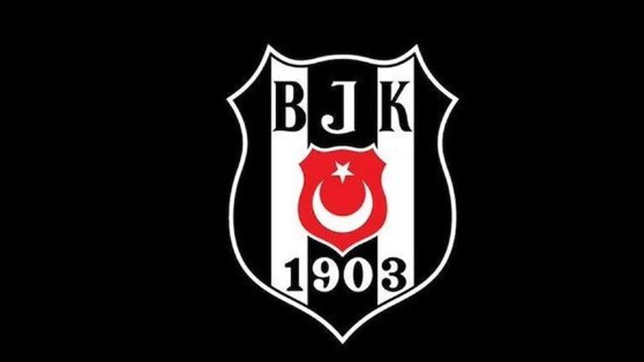 Beşiktaş Emlakjet, Başantrenör Igor Milicic'le Yollarını Ayırdı