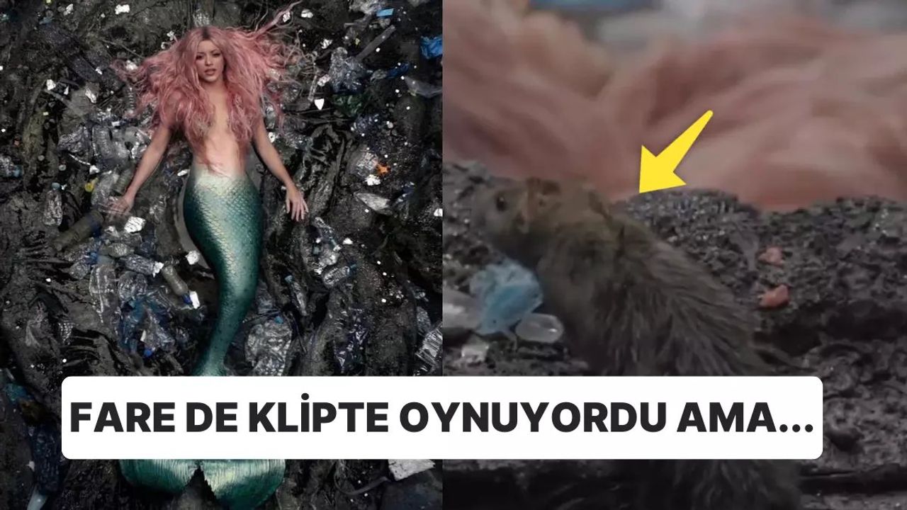 Shakira'nın klibinde fareyle burun buruna gelişi viral oldu