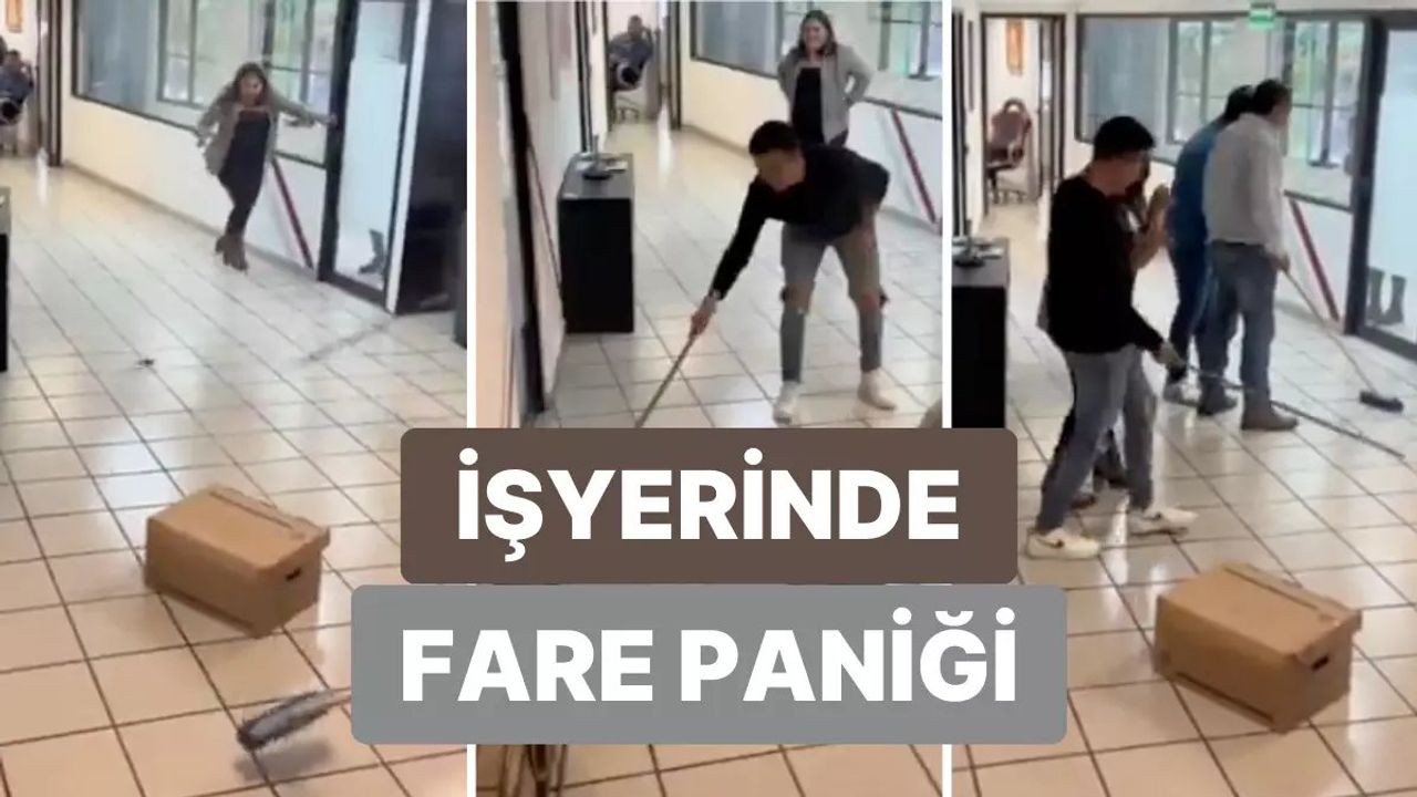 İş yerine giren fare üzerine gelince olanlar oldu! Görüntüler Meksika'dan...