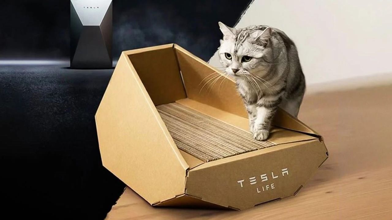 Tesla Cybertruck İlhamlı Kedi Yatağı Piyasaya Sürdü