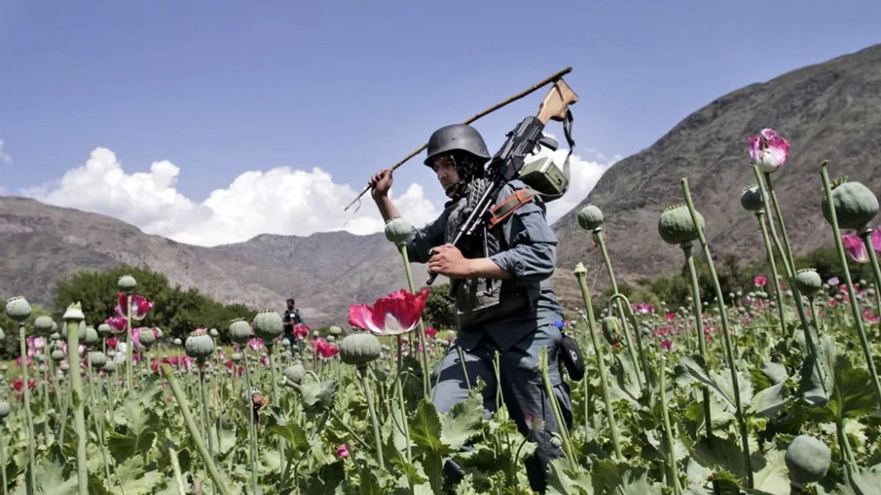 Afganistan'da Metamfetamin Kaçakçılığı Artıyor