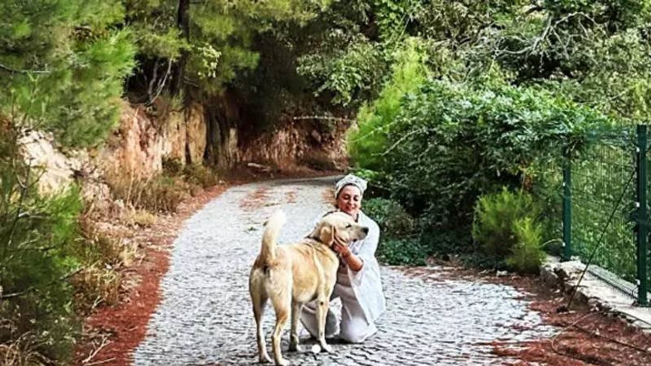 Aslıhan Gürbüz, Takipçisine Sert Tepki Gösterdi