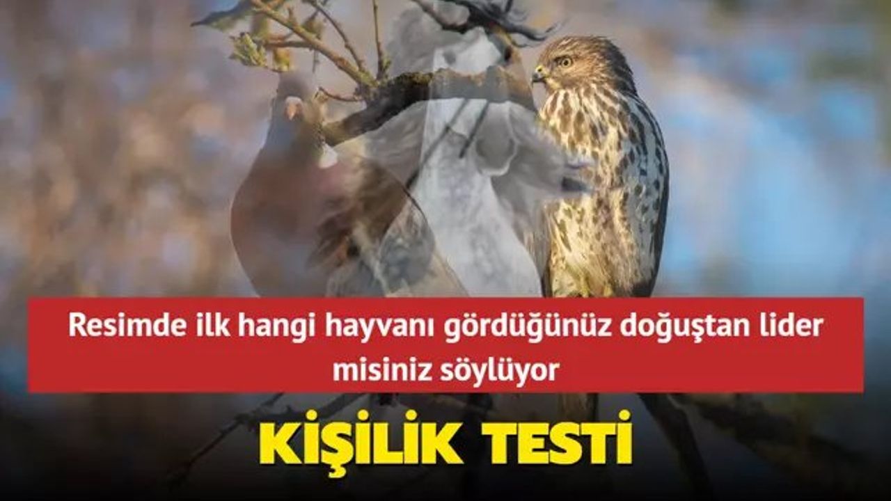 Kişilik Testleri ve Liderlik Özellikleri