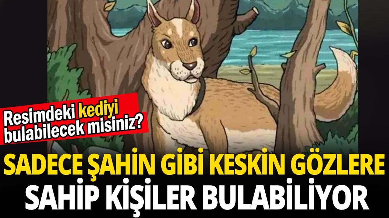 Sadece Keskin Gözlere Sahip Kişiler Gizli Kediyi Bulabilir