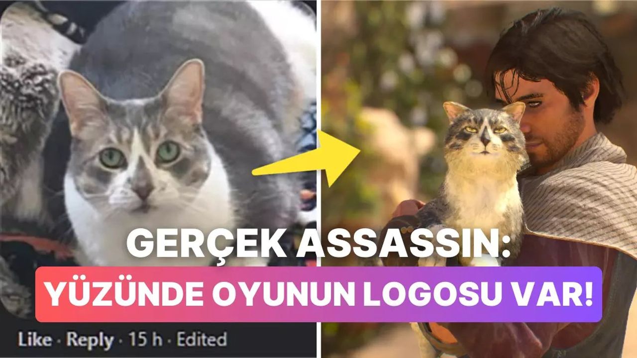 Assassin's Creed Mirage: Kedilerin Oyundaki Önemi