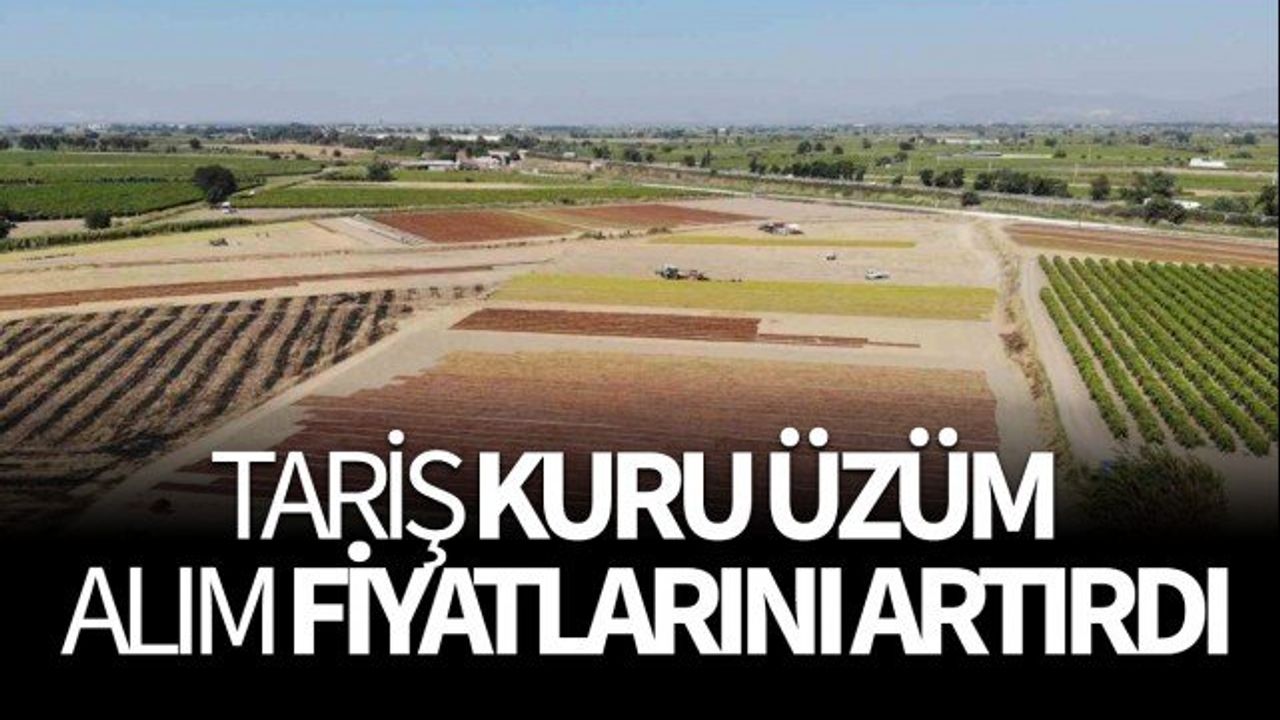 TARİŞ Üzüm Birliği Yönetim Kurulu Başkanı Ali Rıza Türker Üzüm Fiyatlarını Açıkladı