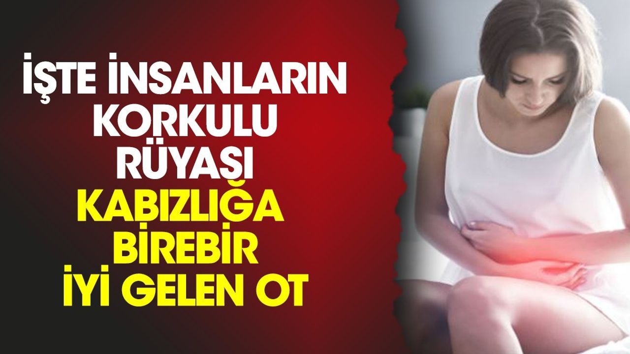 İnsanların Kabızlık Sorununa İyi Gelen Meragülü Otu