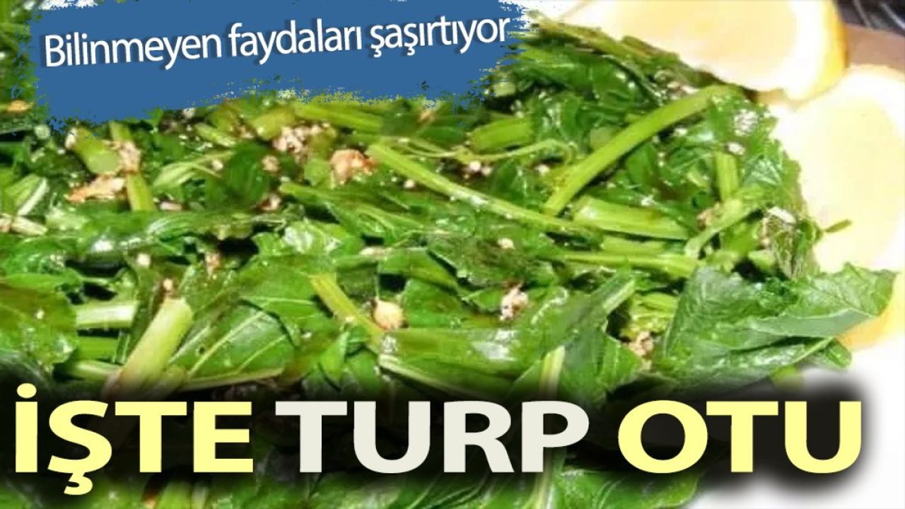 Turp Otunun Bilinmeyen Faydaları