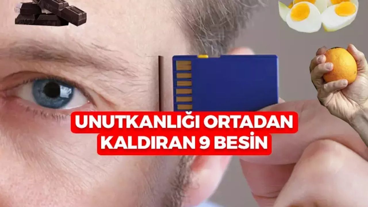 Beyin İçin En İyi Gıdalar