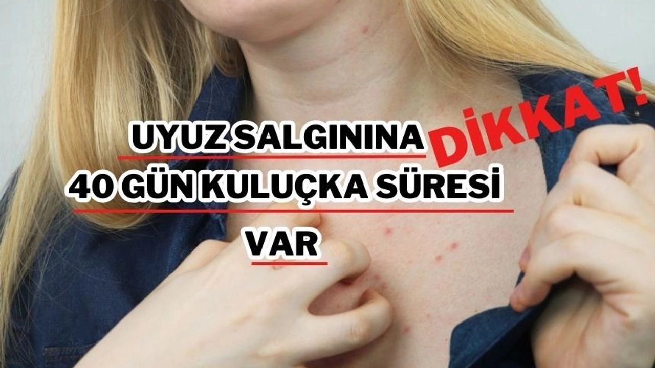 Uyuz Nedir? Nasıl Bulaşır? Uyuz Hastalığına Karşı Önlemler