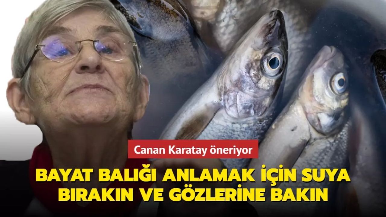 Taze ve Bayat Balık Nasıl Anlaşılır?