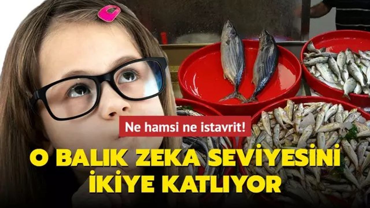 Omega-3 ile Zeka Gelişimi: Palamut Balığı