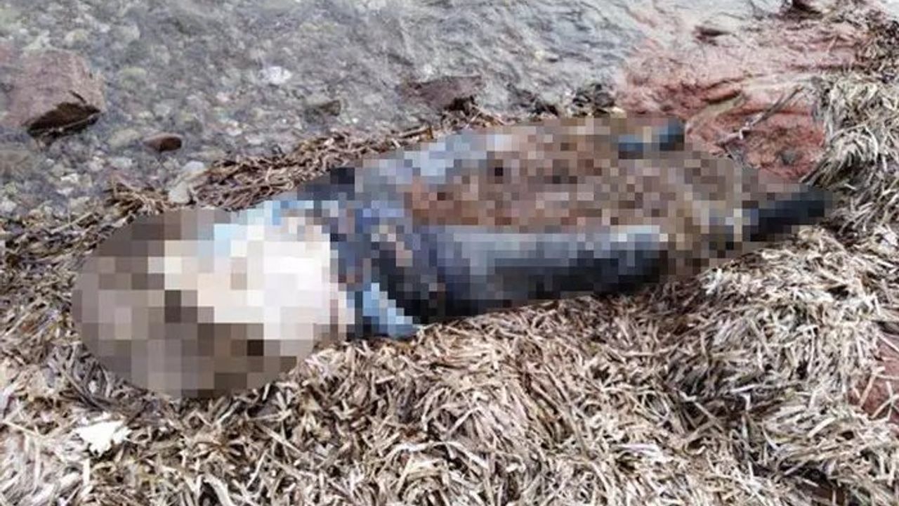 Muğla Bodrum'da Sahilde Kadın Cesedi Bulundu