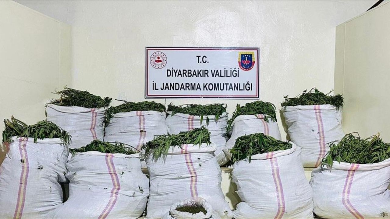 Diyarbakır'da Dev Uyuşturucu Operasyonu: 785 Bin Kök Kenevir ve 379 Kilogram Esrar Ele Geçirildi