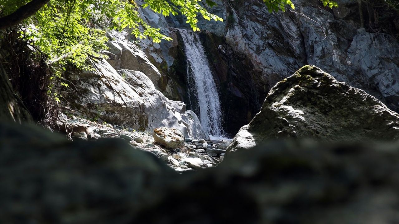 Kastamonu'da Gürleyik Şelalesi Turizme Kazandırılıyor