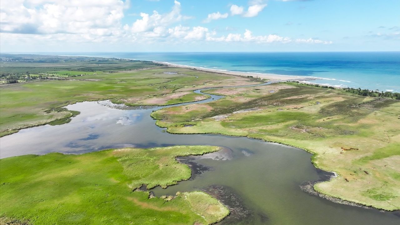 Amazon Tabiat Parkı Dron ile Görüntülendi
