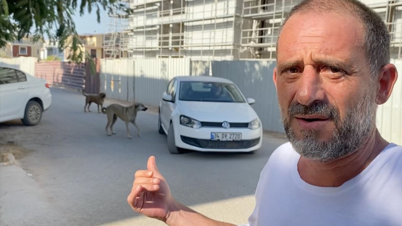 Antalya'da Saldırgan Köpek İddiaları Sıra Dışı Bir Duruma Yol Açtı