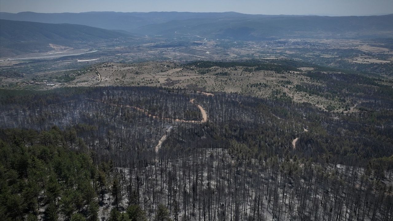 Çankırı'da Orman Yangını Kontrol Altında