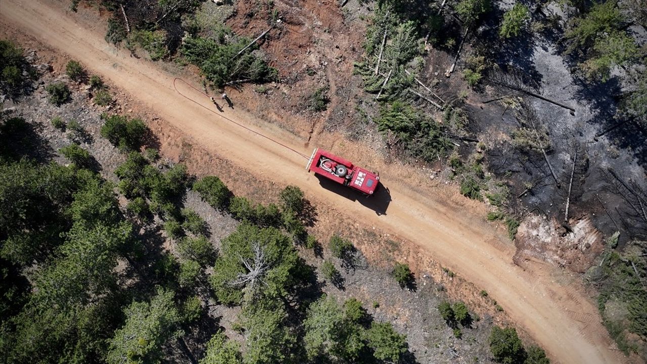Çankırı'da Orman Yangını Kontrol Altında: Soğutma Çalışmaları Devam Ediyor