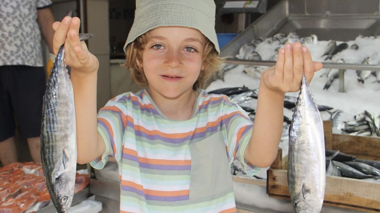 Deniz Suyu Sıcaklığı Palamudu Tehdit Ediyor