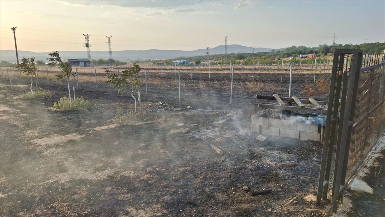 Edirne'de Orman Yangını Kontrol Altına Alındı