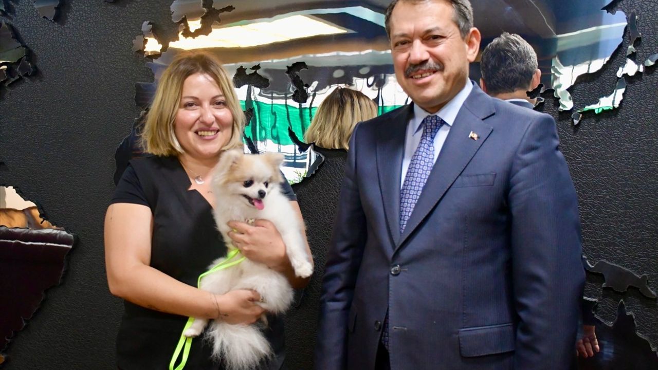 Eskişehir'de Köpeğine Kötü Muamele Eden Şüpheli Adliyeye Sevk Edildi