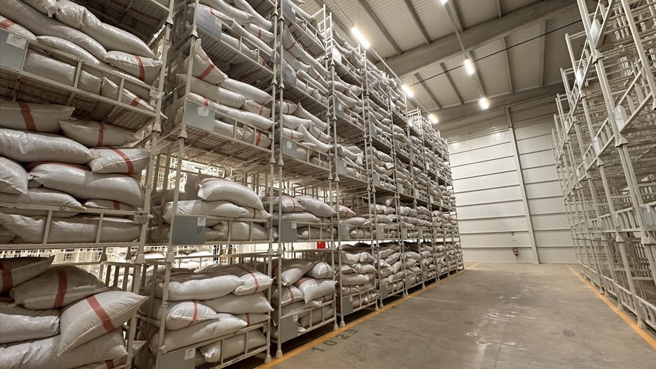 Gaziantep Büyükşehir Belediyesi Fıstık Alımına Başladı