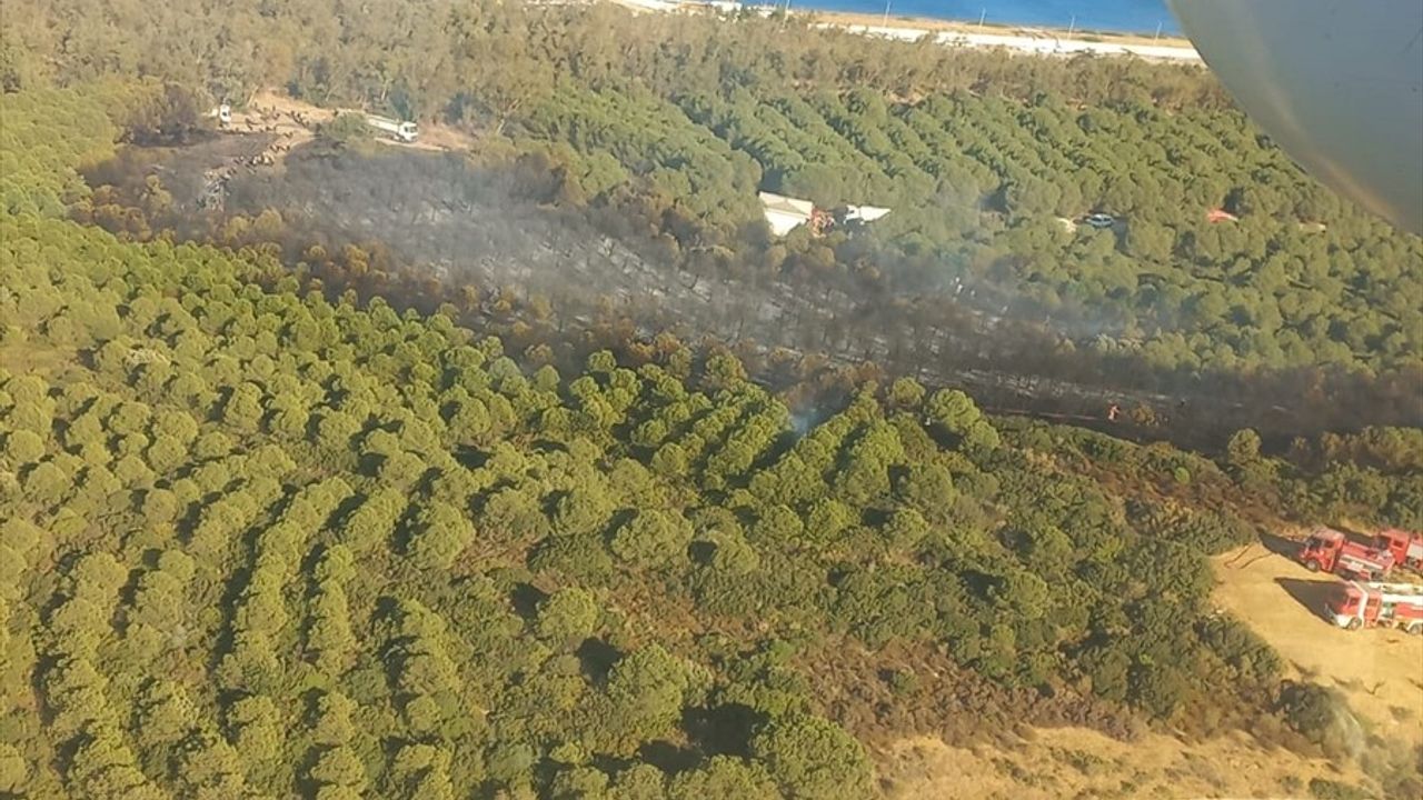 İzmir'de Orman Yangınına Hızlı Müdahale