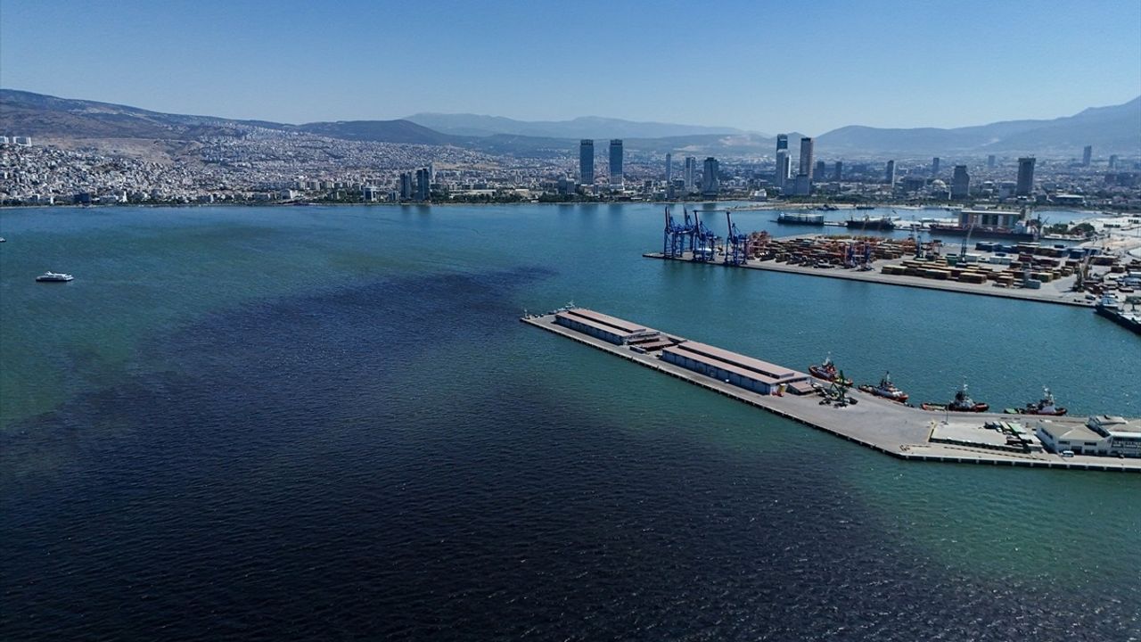 İzmir Körfezi'nde Balık Ölümleri Üzerine Bakanlıktan İnceleme Başlatıldı