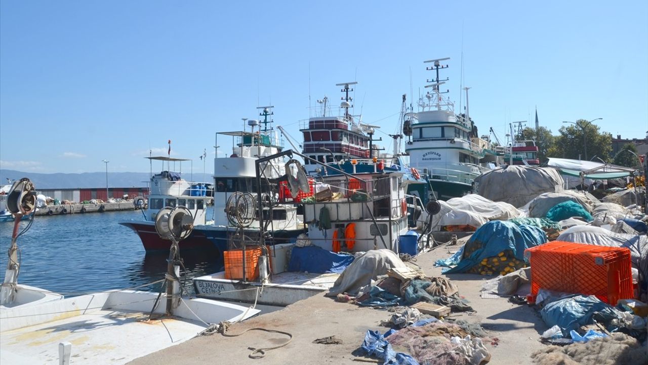 Sakarya ve Kocaeli'de Balıkçılar Palamutta Bereket Bekliyor