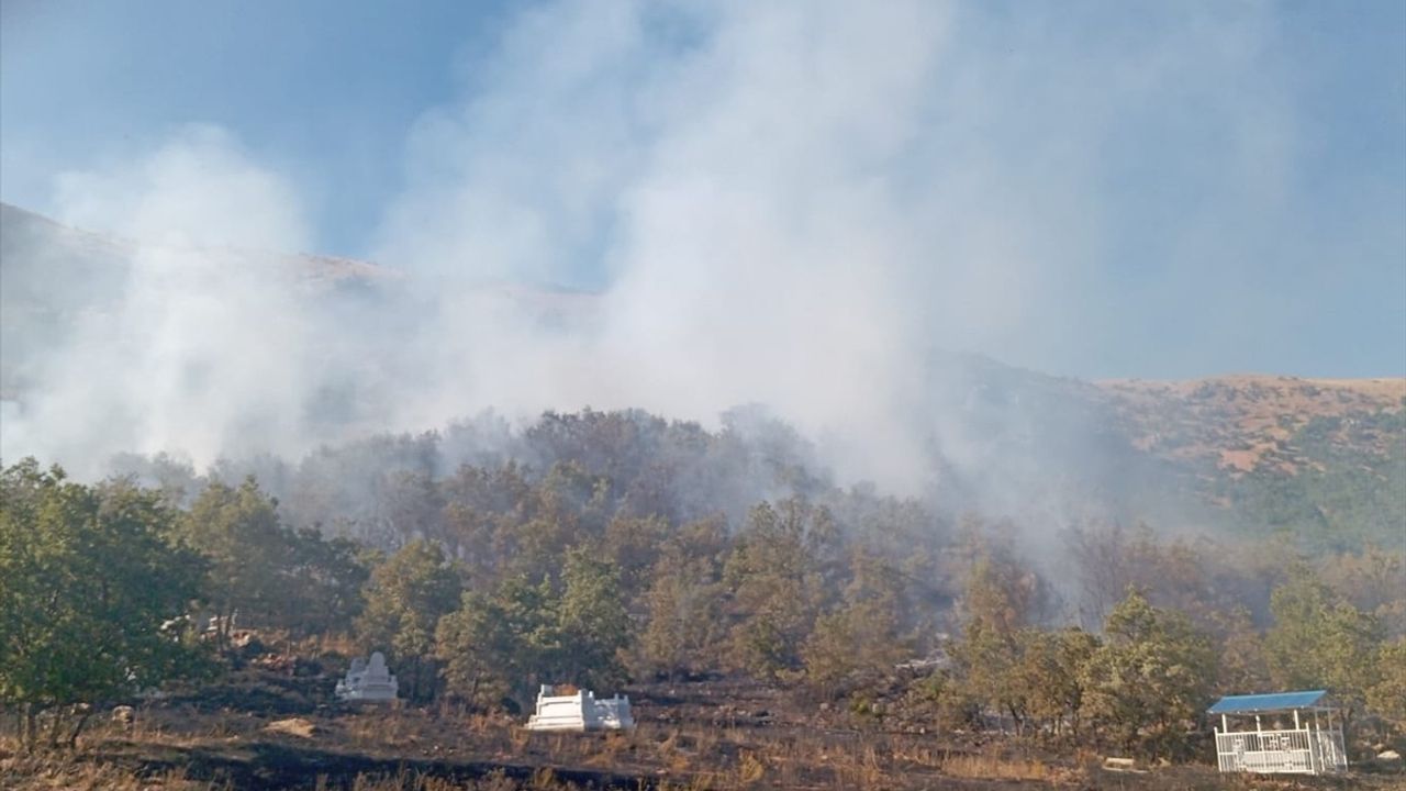 Tunceli'deki Orman Yangınına Müdahale Devam Ediyor