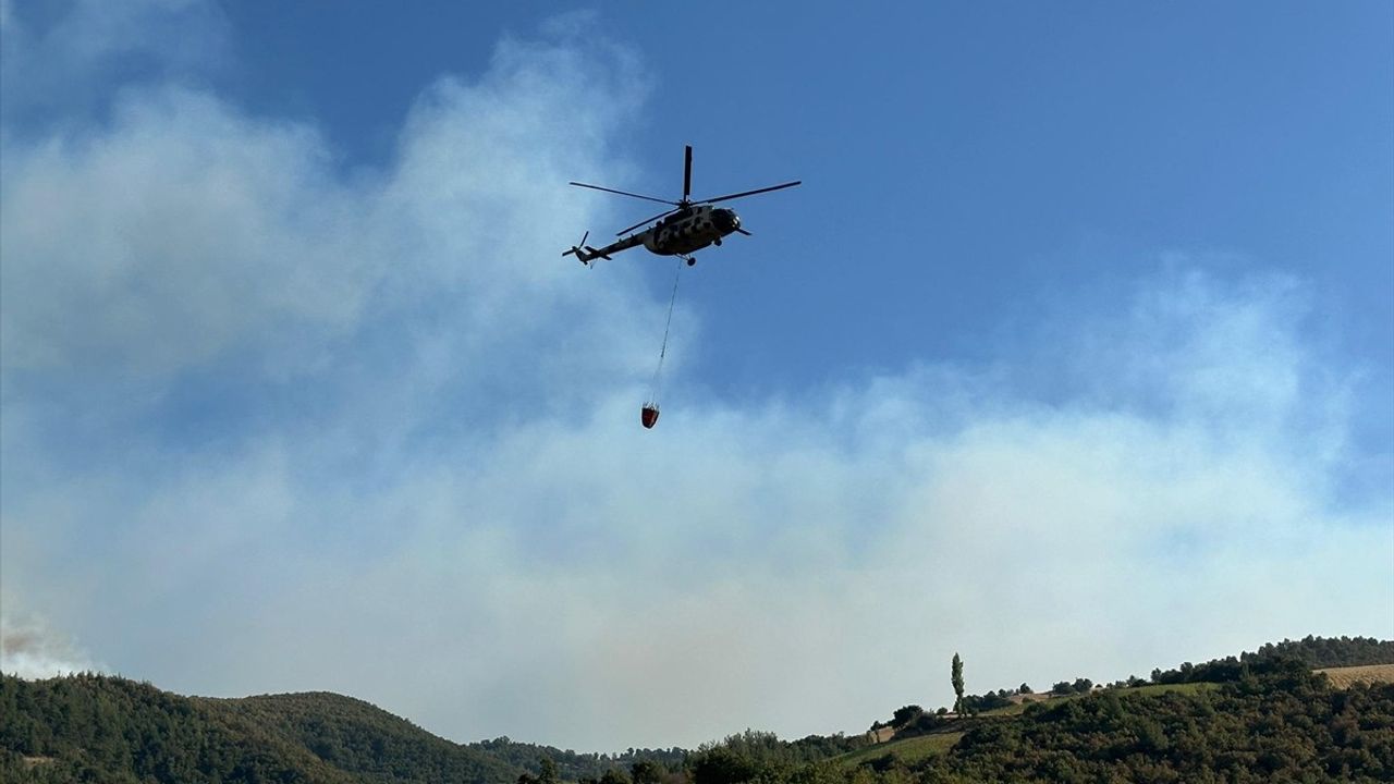 Uşak'ta Otluk Alanda Yangın: Ormana Sıçradı