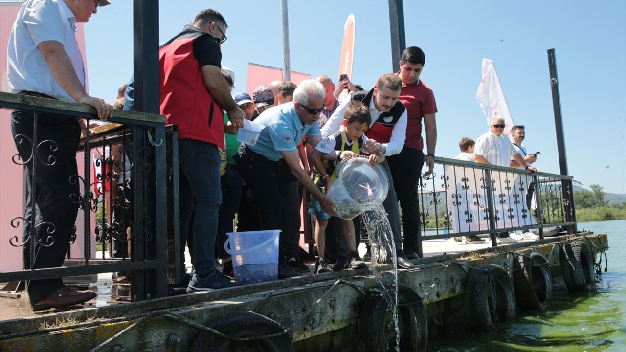 Yeniçağa Gölü'ne 50 Bin Sazan Balığı Yavrusu Salındı