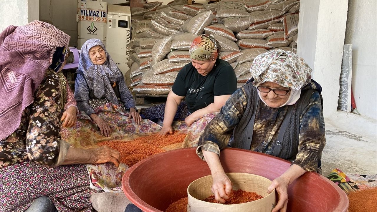 90 Yaşındaki Üç Arkadaşın Uzun Ömür Sırrı: Tarhana ve Dostluk