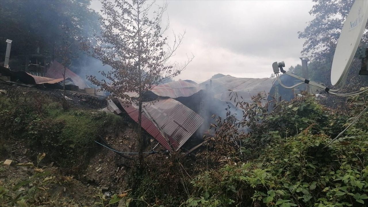 Artvin'deki Restoran Yangını: Ahşap Yapı Küller İçinde Kaldı