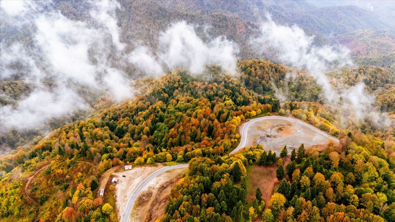 Çam Dağı'nda Sonbahar Zamanı