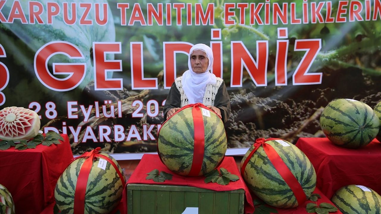 Diyarbakır Karpuzu Tanıtım Etkinlikleri Düzenlendi