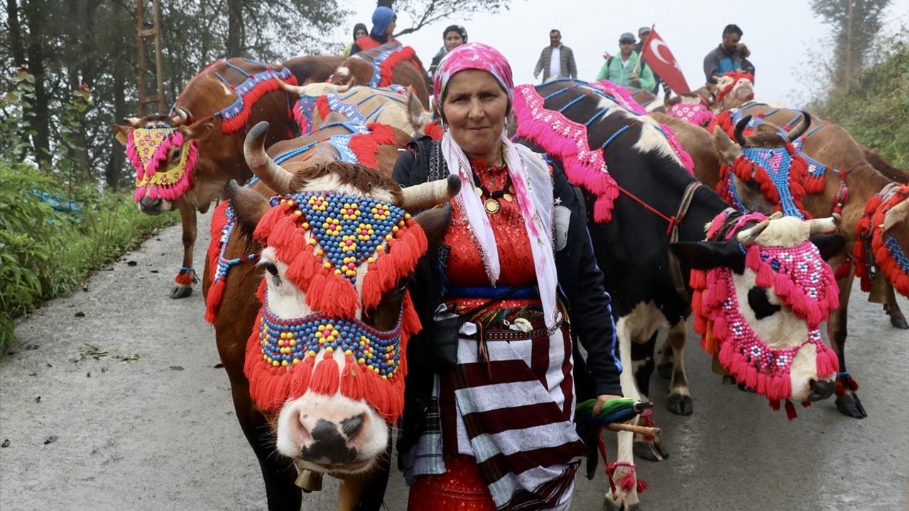 Doğu Karadeniz Yayla Göçü Başladı