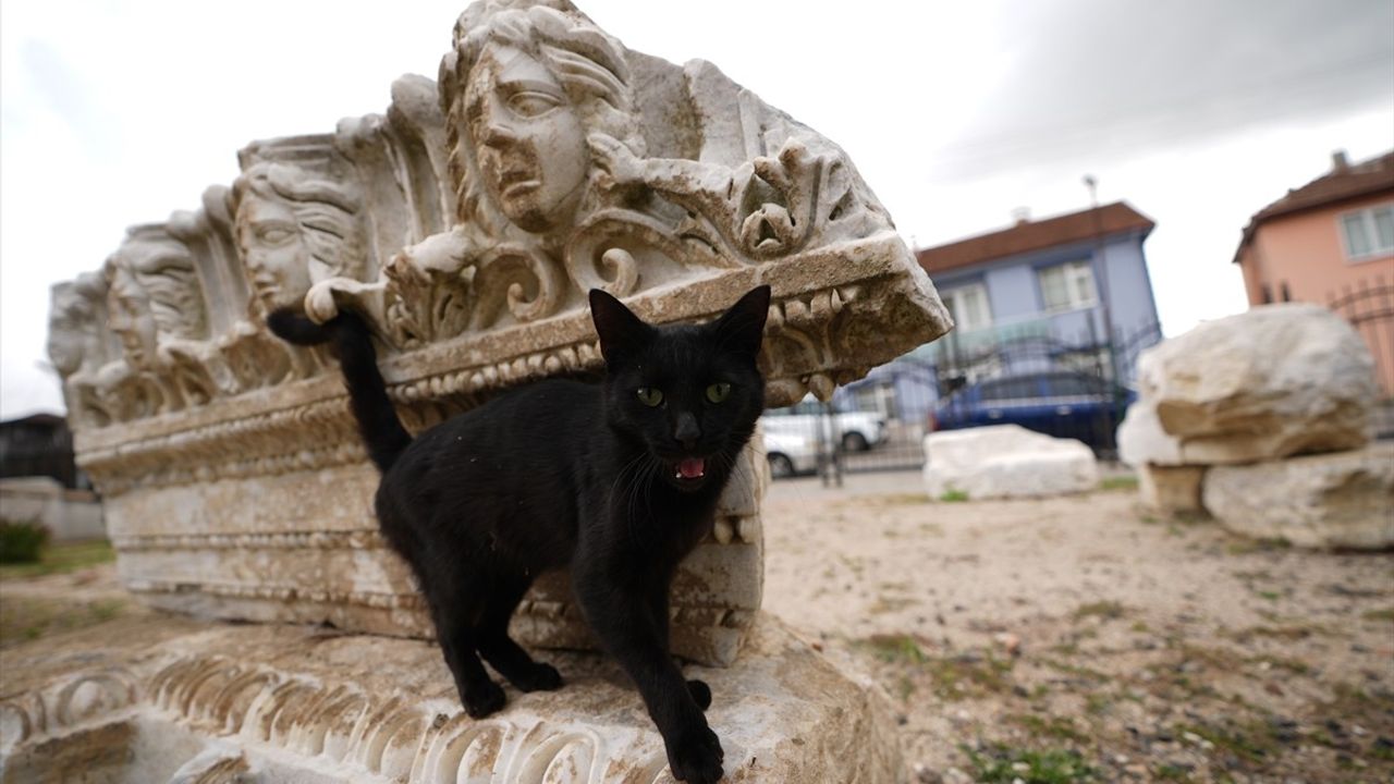 Düzce'deki Prusias Ad Hypium Antik Kenti'nde Tarih Kazılıyor