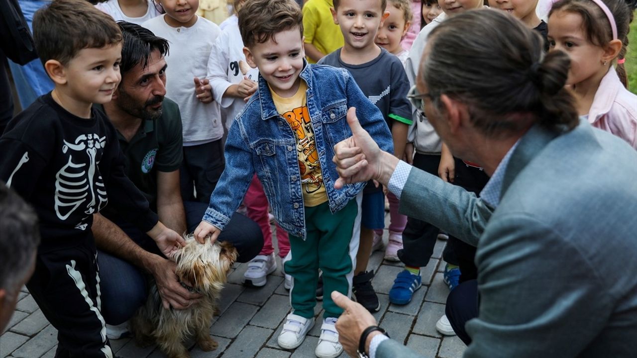 Etimesgut'ta Sahipsiz Köpekler Bekçi Oldu