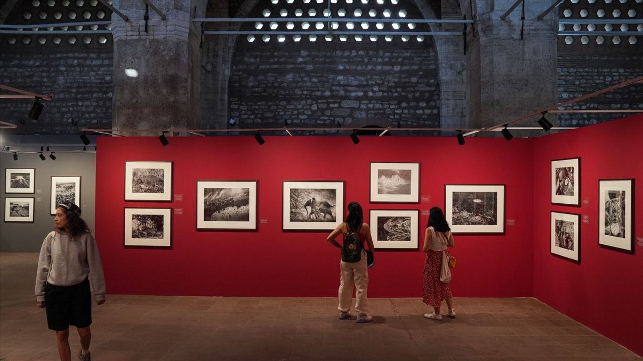 İstanbul Kültür Yolu Festivali'nde Sanatseverler İçin Heyecan Verici Sergiler