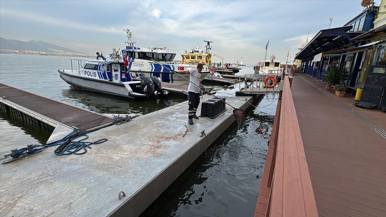 İzmir Körfezi'nde Süregelen Balık Ölümleri ve Kirlilik Sorunu