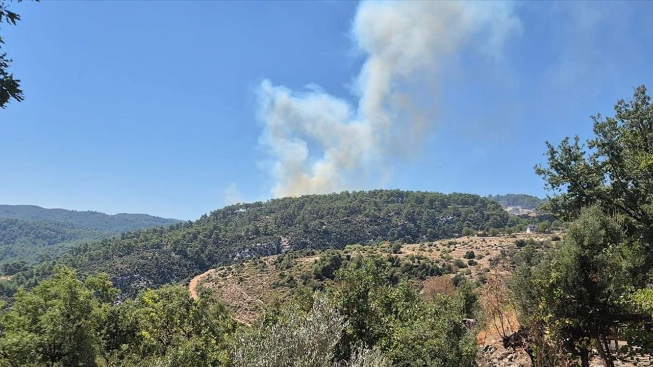 Kaş'ta Orman Yangınına Hızlı Müdahale