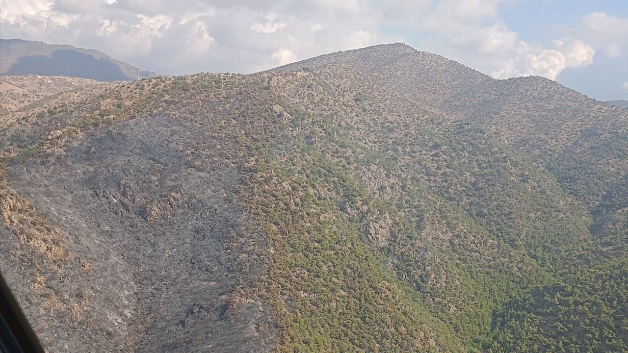 Manisa Alaşehir'deki Orman Yangını Kontrol Altına Alındı