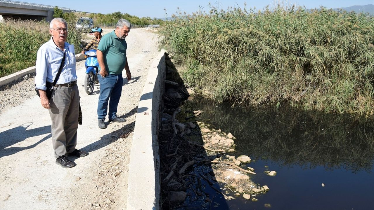 Manisa'da Gediz Nehri'nde Balık Ölümleri Üzerine Soruşturma Başlatıldı