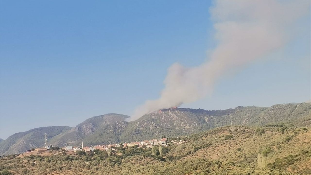 Milas'taki Orman Yangınında Müdahale Sürüyor